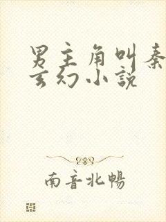 男主角叫秦尘的玄幻小说