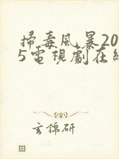 扫毒风暴2025电视剧在线播放免费观看全集