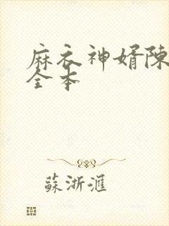 麻衣神婿陈黄皮全本