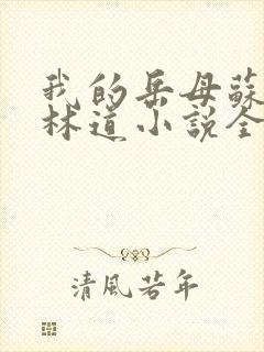 我的岳母苏沛真林道小说全文封面