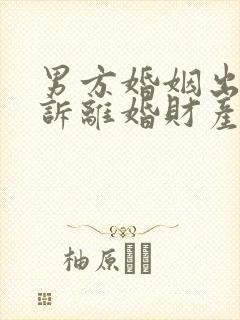 男方婚姻出轨起诉离婚财产怎么判封面