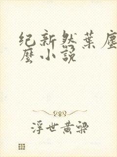 纪新然叶尘是什么小说