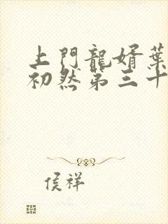 上门龙婿叶辰萧初然第三十