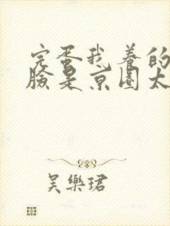 完蛋我养的小白脸是京圈太子爷封面