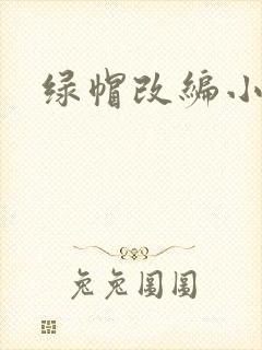 绿帽改编小说封面