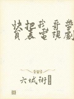 快把我哥带走演员表电视剧
