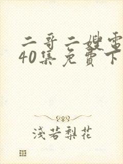 二哥二嫂电视剧40集免费下载封面