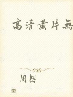 高清黄片无遮挡