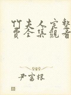 竹夫人完整版免费全集观看封面