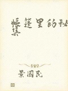 帐篷里的秘密全集