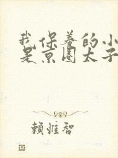 我保养的小白脸是京圈太子爷