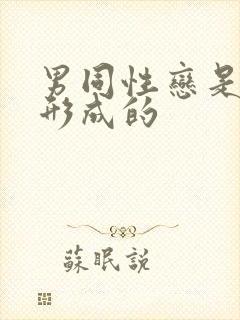 男同性恋是怎么形成的
