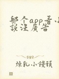 那个app看小说没广告