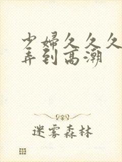 少妇久久久久被弄到高潮