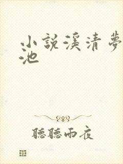 小说溪清梦萧砚池封面