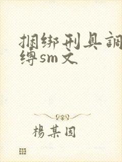 捆绑刑具调教束缚sm文