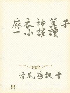 麻衣神算子李初一小说读