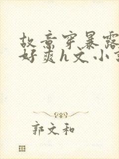 故意穿暴露被强好爽h文小说