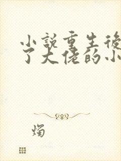 小说重生后我成了大佬的小心肝