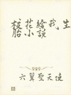 校花给我生龙凤胎小说封面