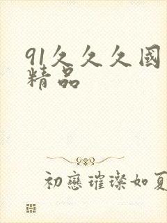 91久久久国内精品