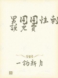 男同同性刺激小说免费