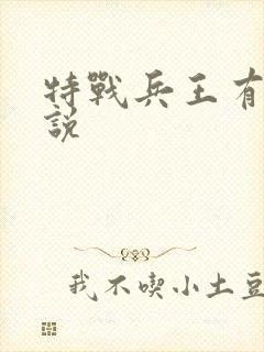 特战兵王有声小说