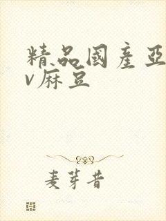 精品国产亚洲av麻豆
