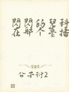闪闪的儿科医生在哪个台播出