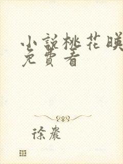 小说桃花映江山免费看