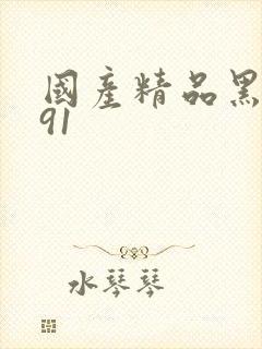国产精品黑丝袜91