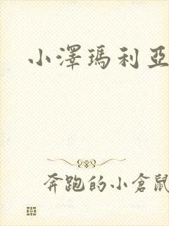 小泽玛利亚作品封面