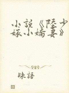 小说《陆少的替嫁小娇妻》封面