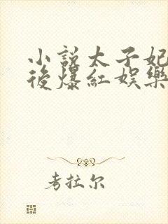 小说太子妃重生后爆红娱乐圈1封面