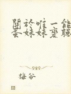 关于唯一能让笨蛋妹妹变聪明的办法封面