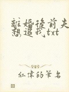 离婚后前夫总是想追我txt