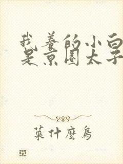 我养的小白脸竟是京圈太子爷