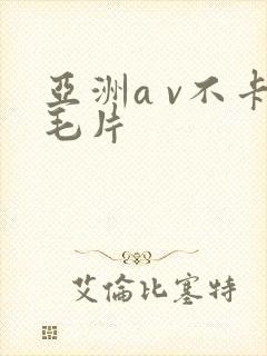 亚洲a v不卡毛片封面