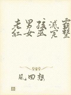 老男孩灭霸和绯红女巫完整版播放