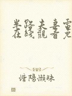 半路夫妻电视剧在线观看免费高清封面