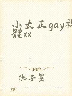 小太正gay裸体xx