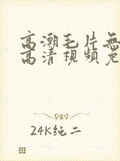 高潮毛片无遮挡高清视频免费播放