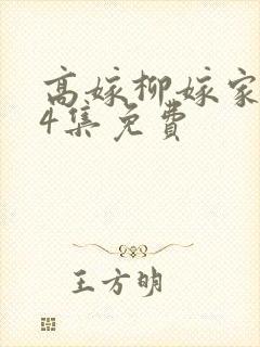高嫁柳嫁家1到4集免费