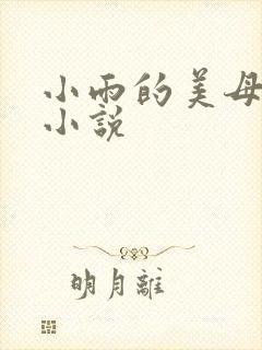 小雨的美母妈妈小说