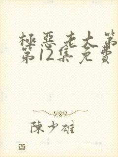 极恶老大第二季第12集免费观看