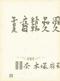 午夜精品国产欧美日韩久久封面