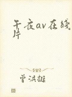 午夜av在线看片
