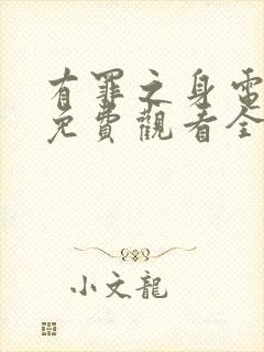 有罪之身电视剧免费观看全集高清2026集