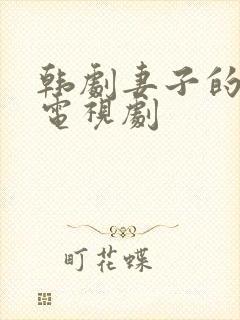 韩剧妻子的秘密电视剧