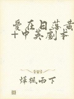 爱在日落黄昏时+中英剧本封面